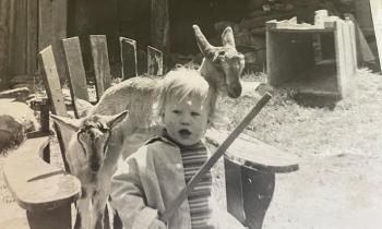 Goats