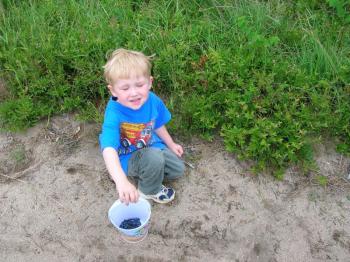 Enjoying Maine wild blueberries picked fresh is a great summer pastime at any age. Courtesy of Allison Wells. #bird-column, #Jeff and Allison Wells, #boothbay register, #birds, #maine, #pemaquid, #blueberries,