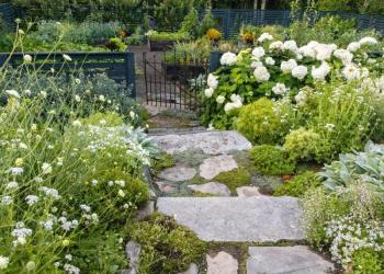 The gardens of Jordana and Ross Martin in Northport. (Photo by Jordana Martin)