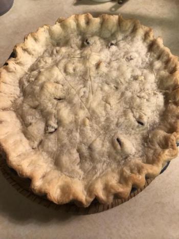 Fresh blueberry pie made with the authors’ first Maine blueberries of the season - and a great reminder of places. plants, and wildlife that make Maine special. Courtesy of Allison Wells #bird-column, #Jeff and Allison Wells, #boothbay register, #birds, #maine, #pemaquid, #blueberries