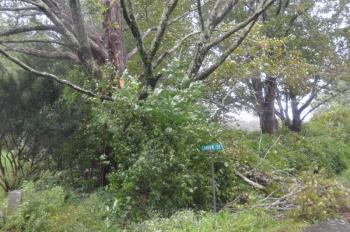 Camden Street, in Rockport.