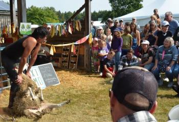 Shearing wool exhibit.