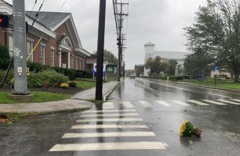 Mums on the move in Rockland. (Photo by Lynda Clancy)