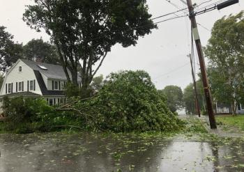 Chestnut Street, Camden, at approximately 7:30 a.m. (photo by Lynda Clancy)