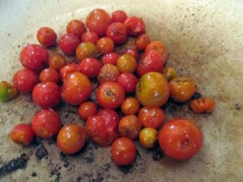Blistering the cherry tomatoes. Photo by Kay Stephens