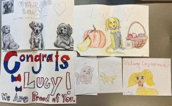 A small sampling of the many notes sent to Lucy by Dexter students following her introduction to the world by WABI TV. The drawings in this picture are by fifth graders.