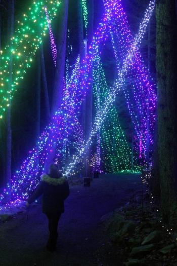 STEVE EDWARDS/Boothbay Register