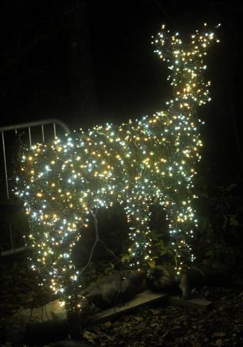 STEVE EDWARDS/Boothbay Register