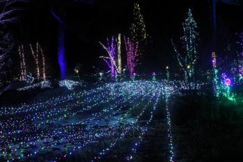 STEVE EDWARDS/Boothbay Register