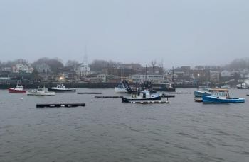 Camden Harbor, Jan. 13.