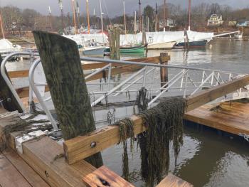 Camden Harbor (Photo courtesy Molly Mulhern)