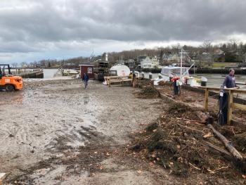 Camden Harbor (Photo courtesy Molly Mulhern)