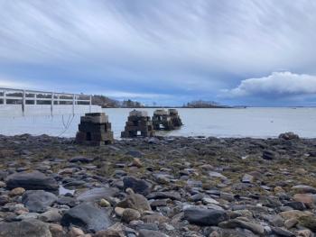 Camden Harbor (Photo courtesy Molly Mulhern)