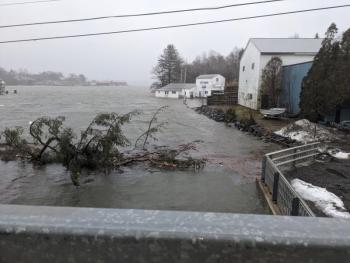 In Thomaston (Photo courtesy Kathleen Norton)