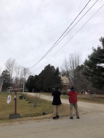 “An average yard in rural Maine - who would have guessed such a rare bird would show up here?” Courtesy of Allison Wells