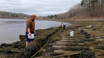 BMI Students measure the keelson of the wreck on the Passagassaukeag River in Belfast while others look for the location of a mast-step. (Photo by Charles H. Lagerbom, Belfast Marine Institute)