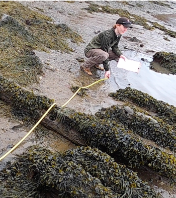 BMI students take a series of measurements to help determine the current status of the wreck, as nature continues to scatter and break down the vessel. (Photo by Charles H. Lagerbom, BMI)