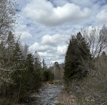 Perham Stream, the natural feature for which the birding trail is named. Courtesy of A.Wells/NRCM #bird-column, #boothbay register, #perham stream birding trail, #natural resources council of maine, #jeff and allison wells, #birds, #maine, #high peaks alliance