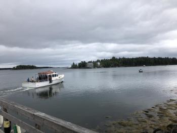 Located just 300 yards off the coast, Hog Island is a very short boat ride across the channel. Courtesy of Jeff Wells #bird-column, #boothbay register, #jeff and allison wells, #birds, #maine, #hog island, #osprey