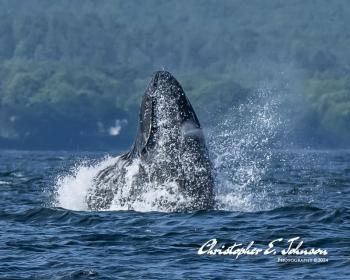 (Photo courtesy Christopher Johnson)