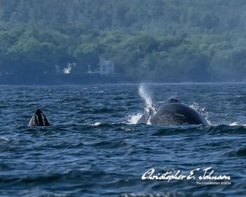 (Photo courtesy Christopher Johnson)