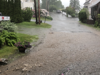 Bay Road, in Camden. (Photo by Lynda Clancy)