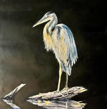 Molly Mugler, "Great Blue Heron at Rest", watercolor. (Photo courtesy Arts in the Barn)