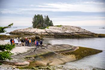 Maine marine biologist Dr Bob Steneck explores the intertidal zone on Hurricane Island with artists and supporters at a June launch for the initiative. (Photo courtesy Hurricane Island Center for Science and Leadership)