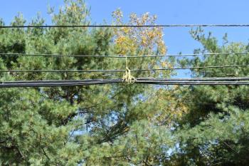 When members of the fire department also happen to work for the telephone company, the FD goes ahead and pulls some lines up and away from the action. (Photo by Sarah Thompson)