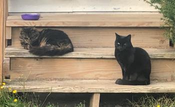 Social distancing? Social distancing? (Photo courtesy Carolyn Kanicki)