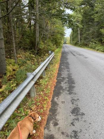 Canaan Road