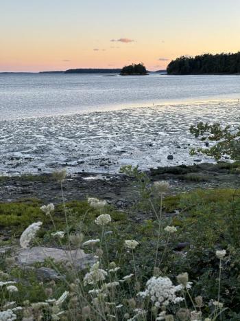 Maine’s scenic beauty on full display recently in Freeport. Courtesy of Allison Wells #bird-column, #shorebirds, #Wolfe’s Neck Center, #Freeport, #Maine, #Jeff and Allison Wells, #birds