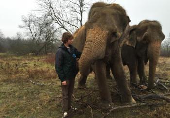 Henry Laurita and Rosie and Opal, in December 2024 (Photo by Lynda Clancy)