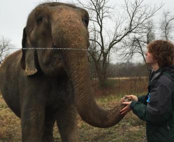 Henry Laurita greets Rosie in December 2014 (Photo by Lynda Clancy)