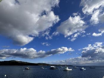 Harbor