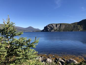 Bay