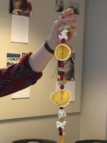 Wildlife garland. (Photo courtesy Maine Coastal Islands Visitor Center)