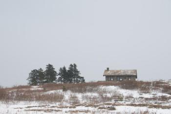 Beech Hill in January. (Photo courtesy Coastal Mountains Land Trust)