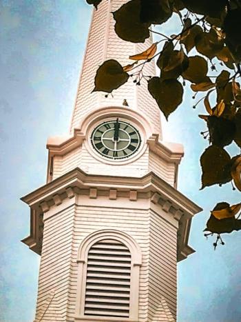 The Camden town clock with a peregrine falcon perched atop  (Photo courtesy Alison McKellar)