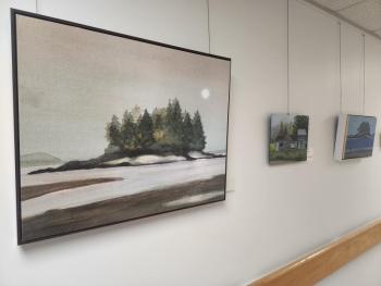 Nancy Benner art work on display at Waldo Hospital. (Photo courtesy MaineHealth)