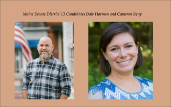 Senate District 13