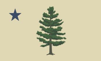 state flag winner 2024