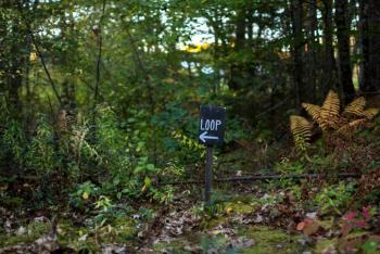 McLellan Poor Preserve. (Photo courtesy Coastal Mountains Land Trust)