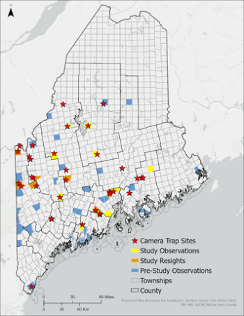 New sites and new sightings in 2024