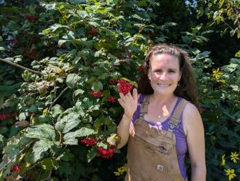  American Cranberry by Becca Rodomsky. (Photo courtesy Camden Garden Club)