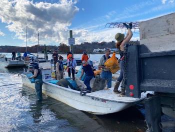 Clean-up volunteers unload trash collected from along the shoreline of the Damariscotta River on November 1, 2024. (Photo courtesy 