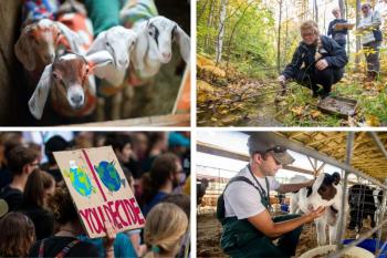 (Image courtesy University of Maine Cooperative Extension)