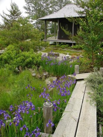 Japanese garden by Lee Schneller Sligh. (Photo courtesy Merryspring Nature Center)