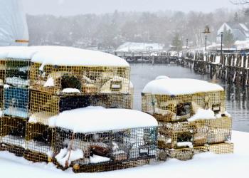 Traps, Rockport Harbor, Lynda Clancy file photo