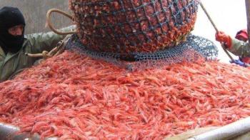 Photo courtesy Port Clyde Fresh Catch